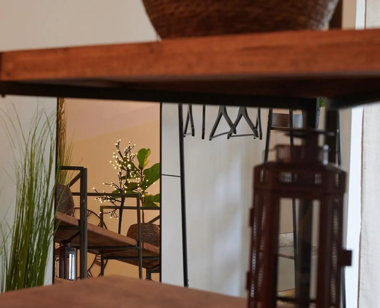 Dido Suite Florence Centro Careggi Meyer Fortezza Universita Apartment